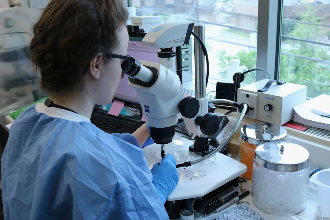 上海旭轶脚手架安装:厂房改造项目中的盘扣式与扣件式方案选型对比